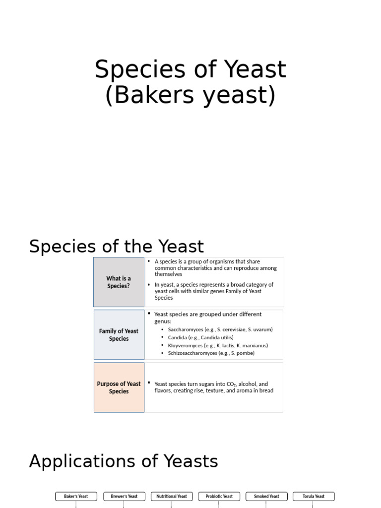 Overview of Yeast Species and Uses | PDF | Yeast | Saccharomyces Cerevisiae