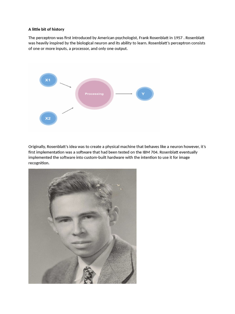Frank Rosenblatt and the Perceptron | PDF | Algorithms | Applied ...