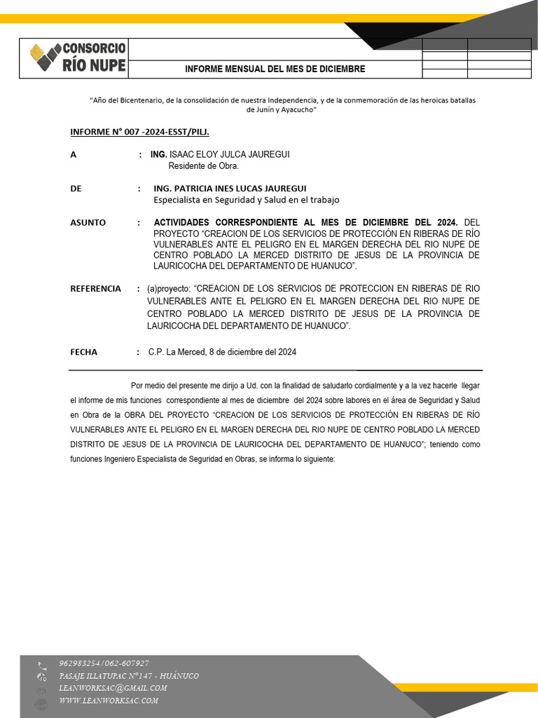 Informe Mensual de Seguridad Diciembre 2024 | PDF