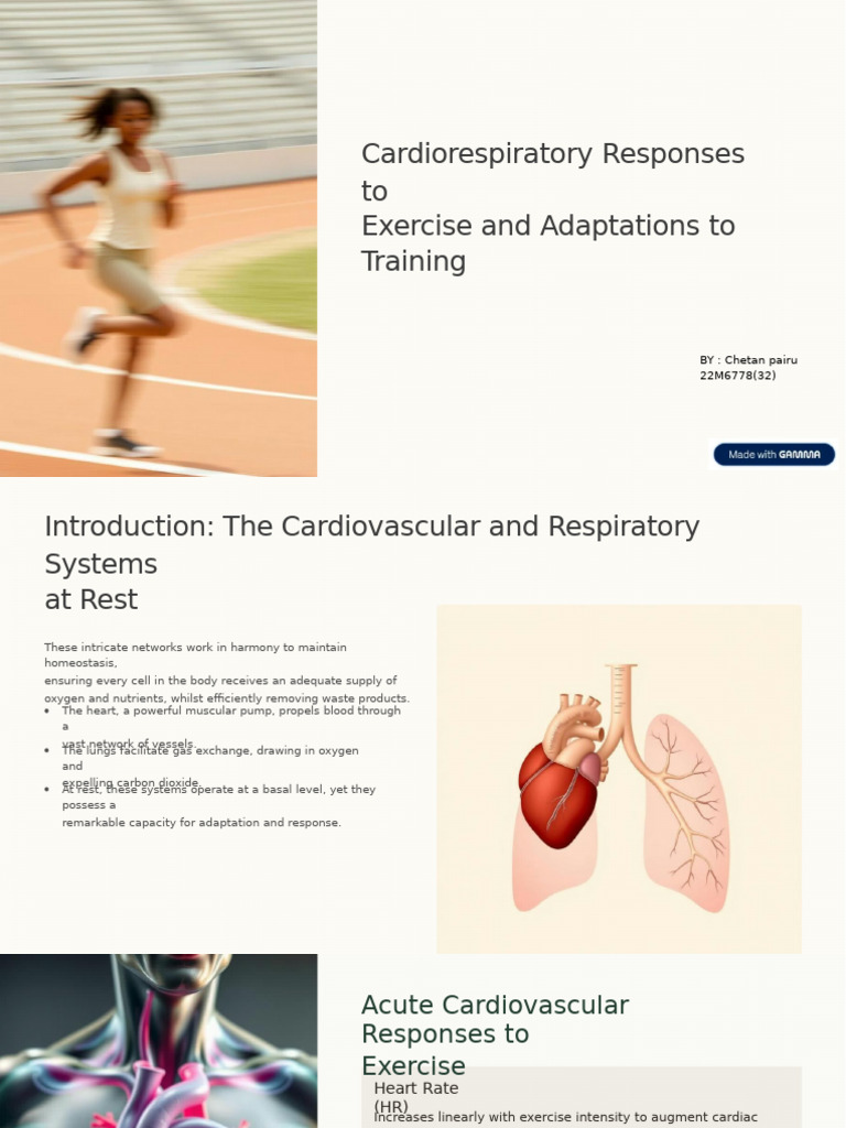Cardiorespiratory Responses to Exercise | PDF | Breathing | Heart