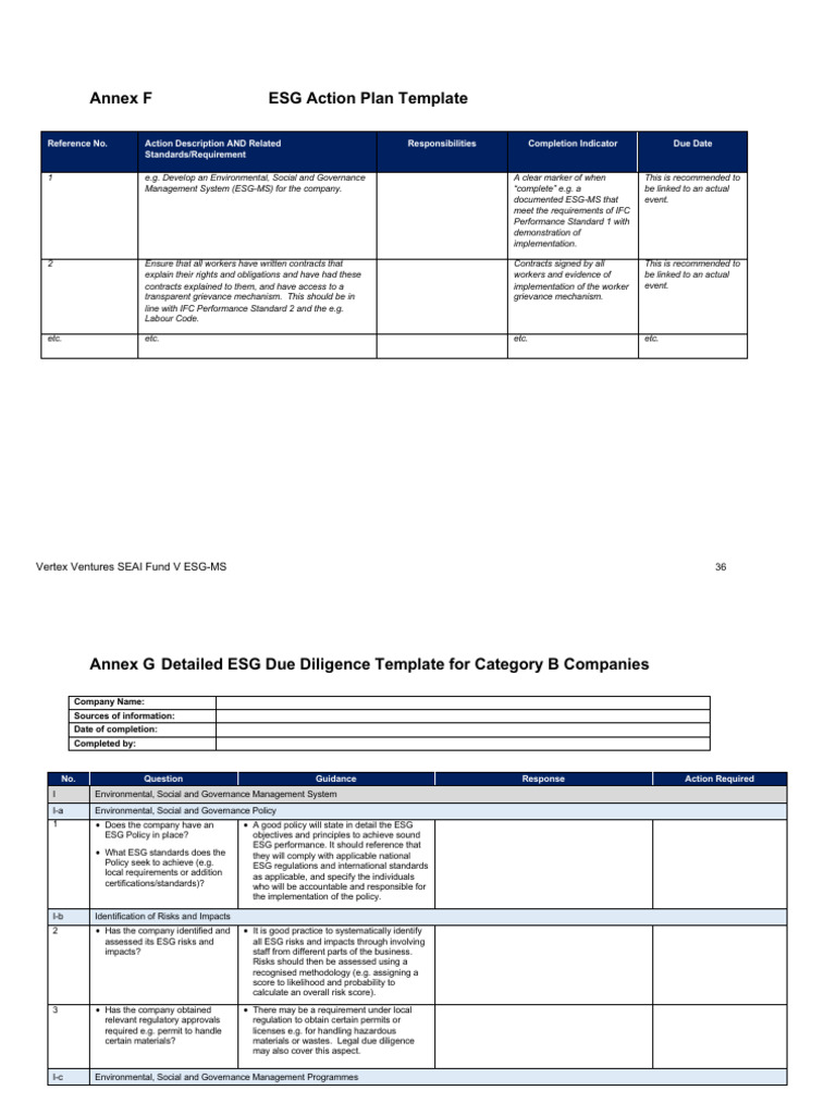 ESG Action Plan Template for Companies | PDF | Employment ...