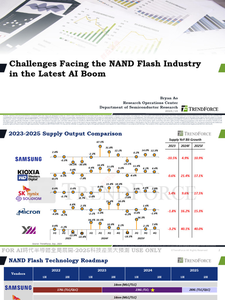 NAND Flash Industry Outlook 2025 | PDF | Civil Law (Common Law ...