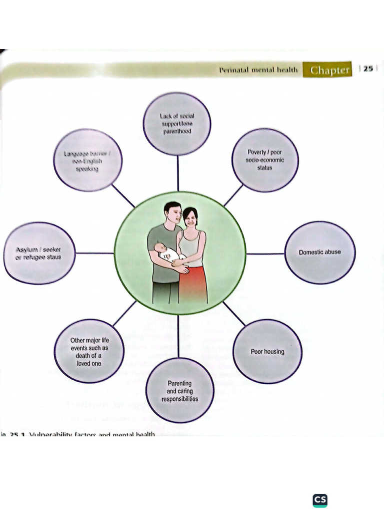 Perinatal Mental Health | PDF