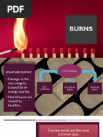 Flamazine® Cream for Burn Care | PDF | Wound | Dermatitis