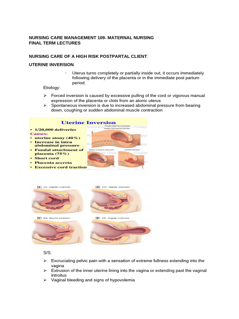 High-Risk Postpartum Nursing Care Guide | PDF | Childbirth | Postpartum ...