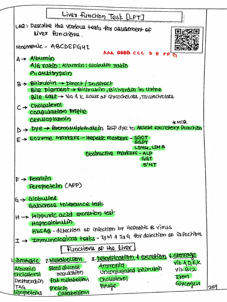 Hepatic Jaundice Testing Overview | PDF