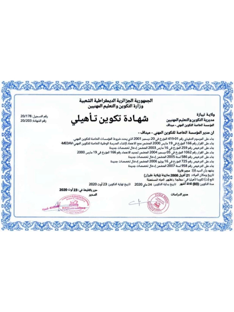 Professional Training Certificate | PDF