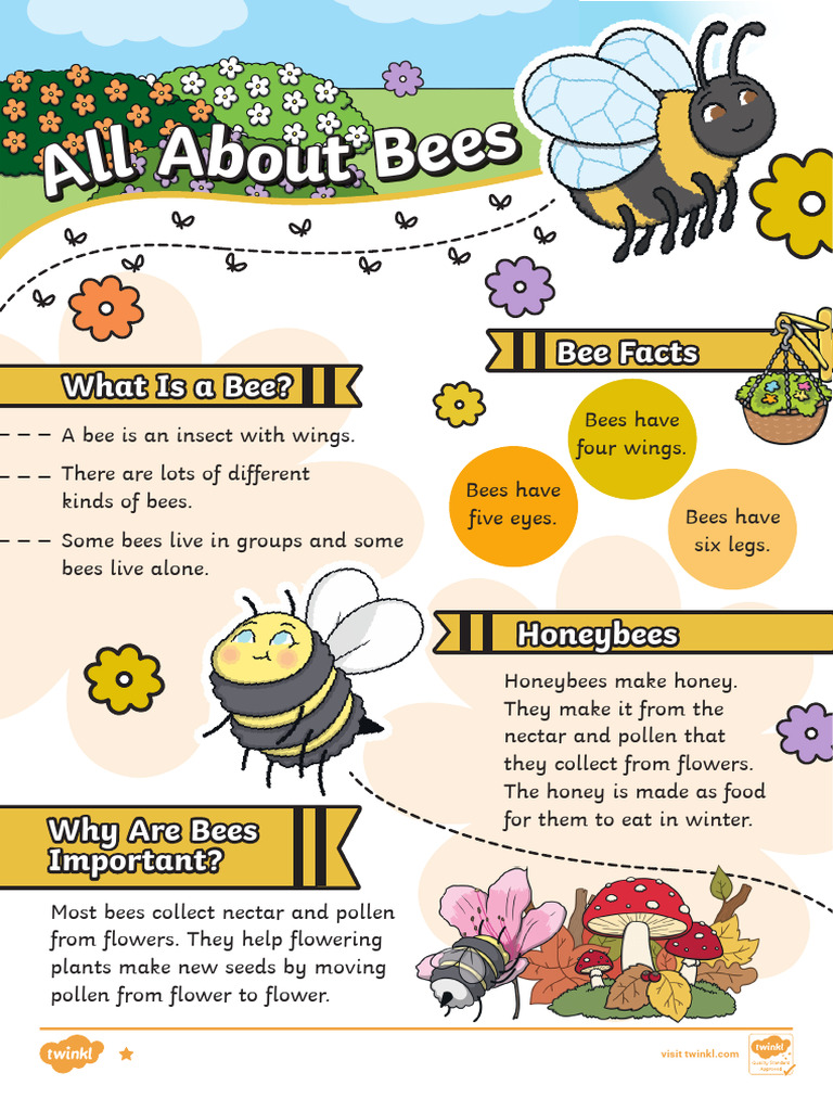 All About Bees | PDF | Bees | Honey Bee