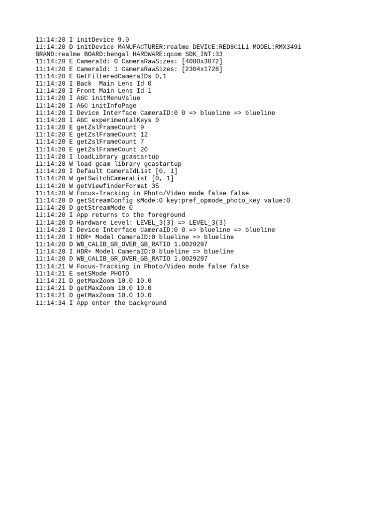 Realme RMX3491 Camera Initialization Log | PDF