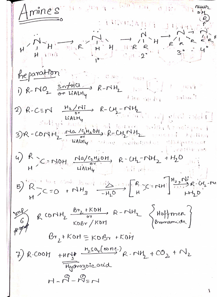 AMINES | PDF