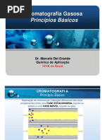 cromatografiagasosa