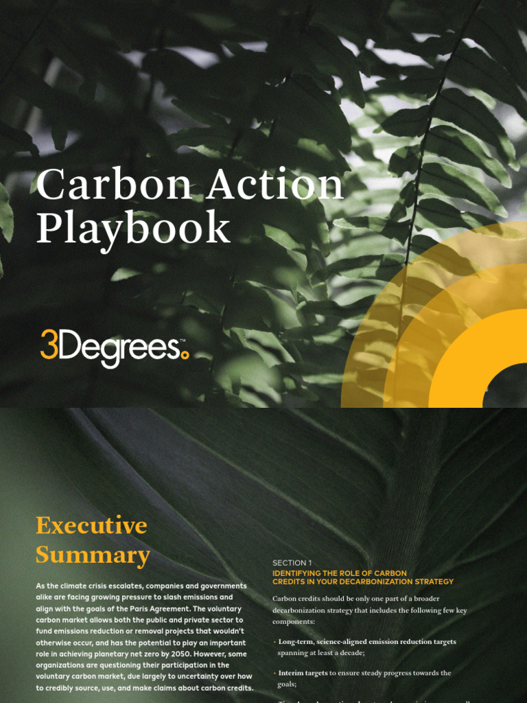 Carbon Action Playbook for Decarbonization | PDF | Climate Change ...