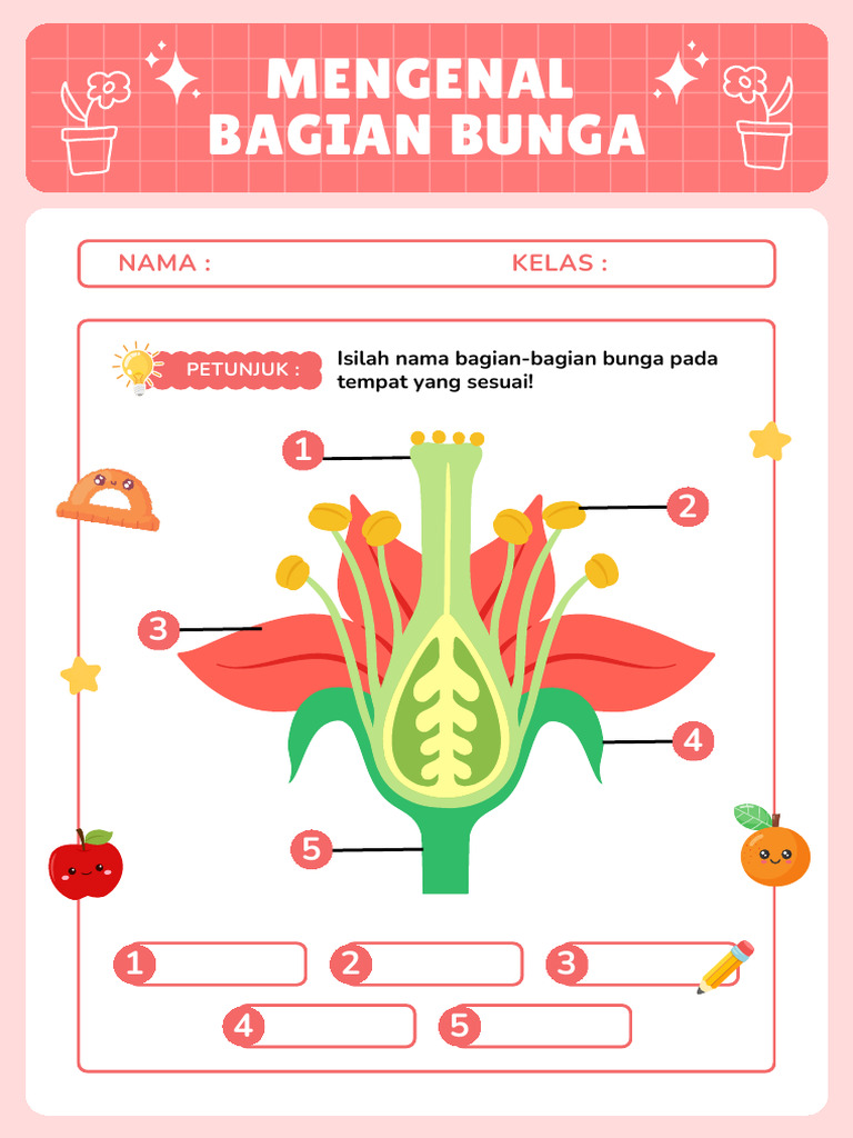 Bagian-Bagian Bunga: Panduan Lengkap | PDF