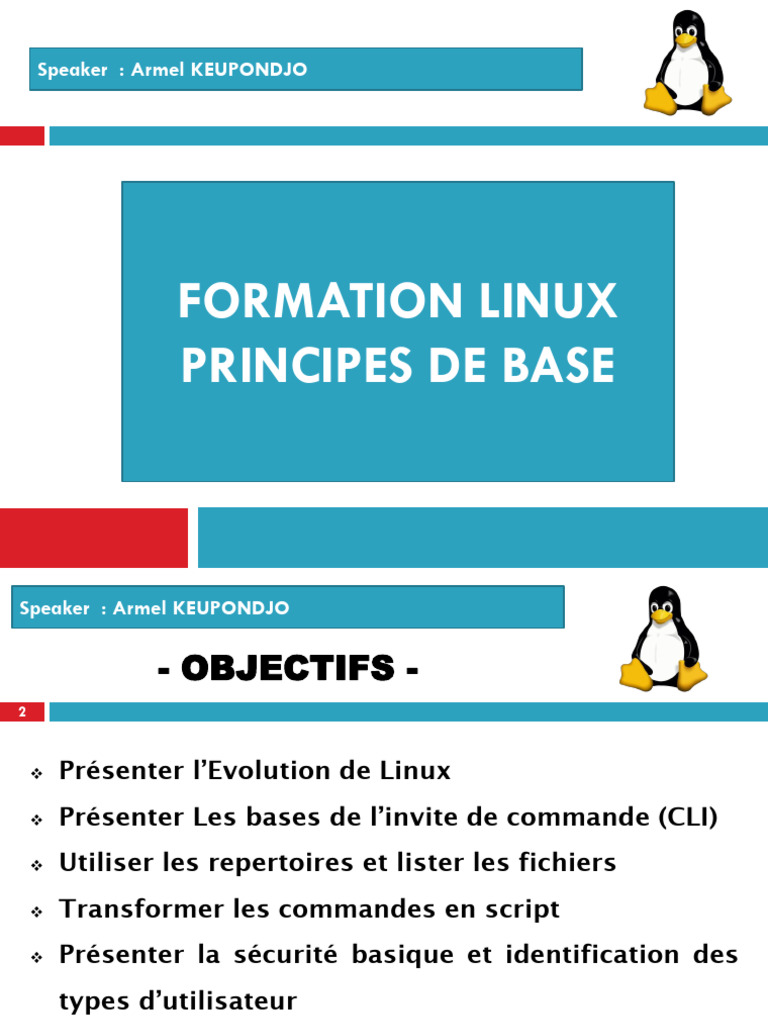 Formation sur les bases de Linux | PDF | Gnou | Protocoles Internet