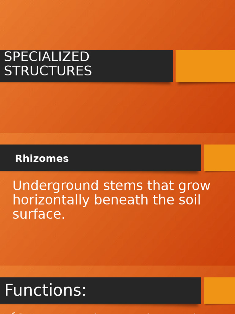 Specialized Plant Structures Explained | PDF