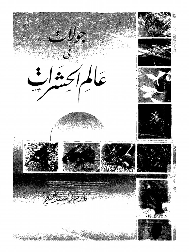 جولات فى عالم الحشرات | PDF