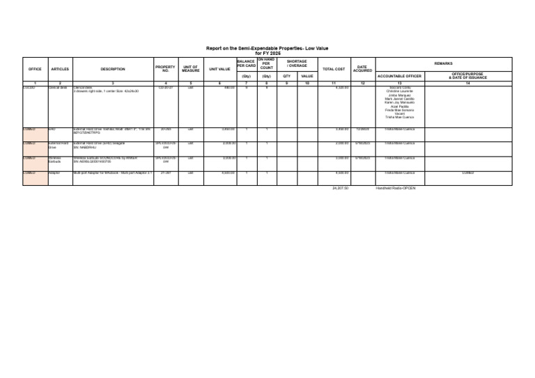 FY 2025 Semi-Expendable LOW VALUE - XLSX - 2025 Semi - Low Value | PDF ...