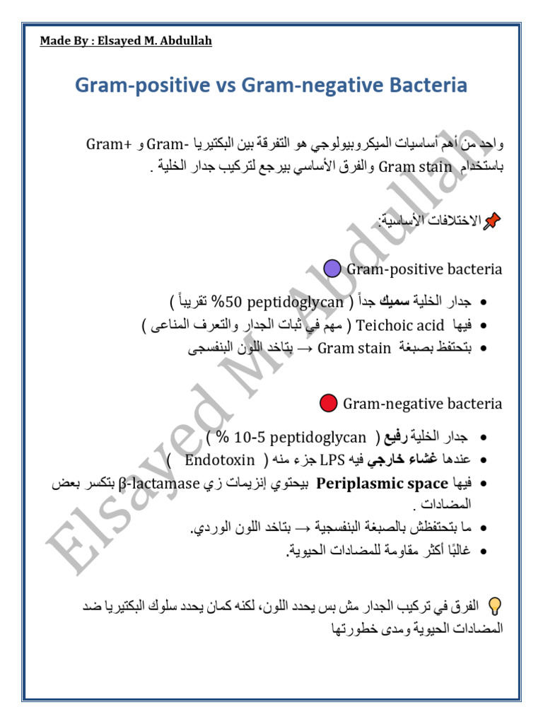 Gram-Positive Vs Gram-Negative Bacteria: Gram+ Gram-Gram Stain | PDF
