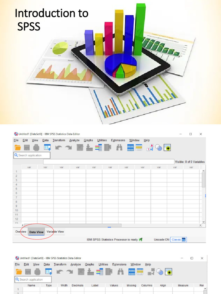 SPSS 31 Variable Setup Guide | PDF | Variable (Computer Science) | Spss