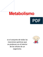 El Metabolismo