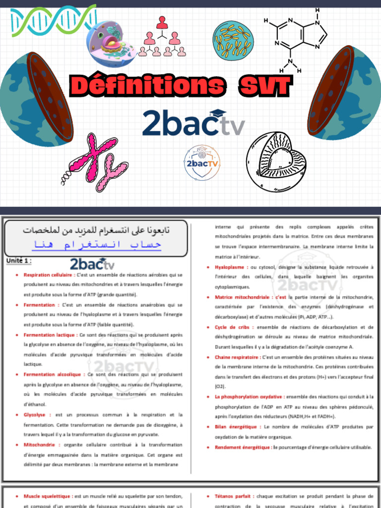 Définitions SVT pour le Bac 2 | PDF | ADN | Muscle