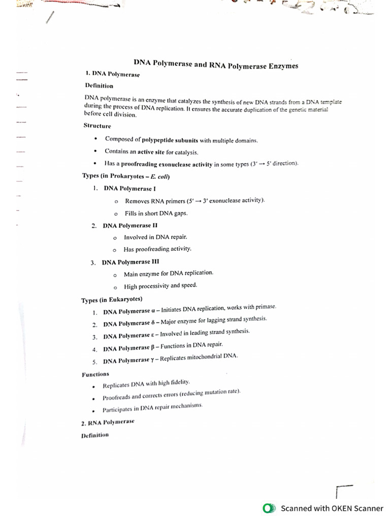 DNA and RNA Polymerase | PDF