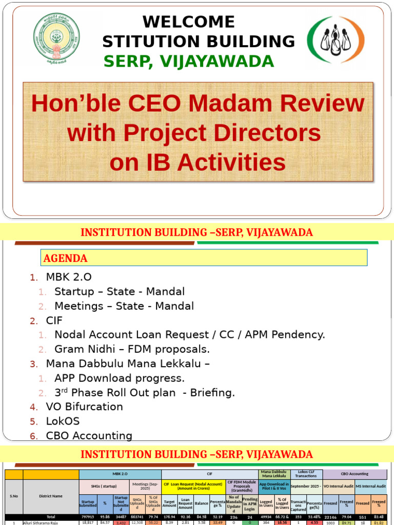 CBO Accounting and MBK Report Overview | PDF