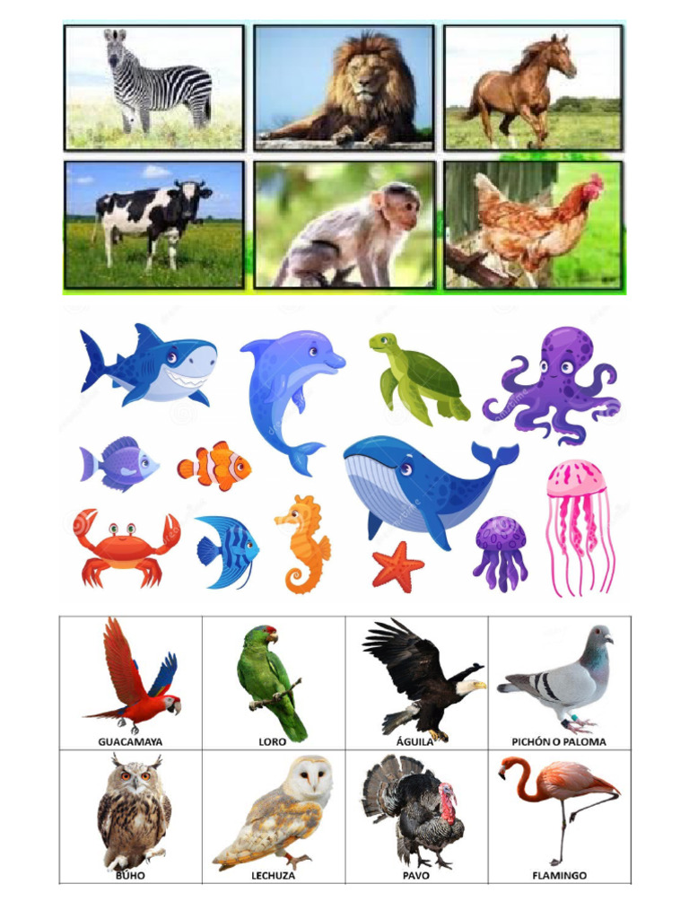 Animales | PDF