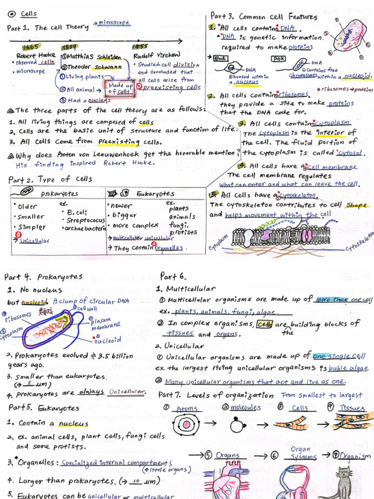 Cell Structures | PDF