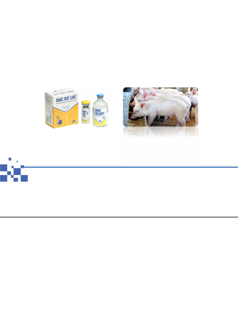 AVAC ASF LIVE Vaccine for Swine Fever | PDF | Vaccines | Microbiology