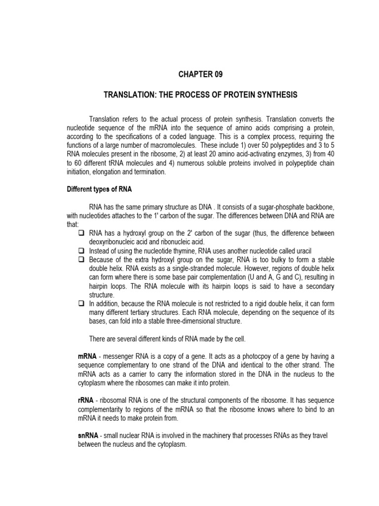 Protein Synthesis: Translation Process | PDF | Ribosome | Translation ...