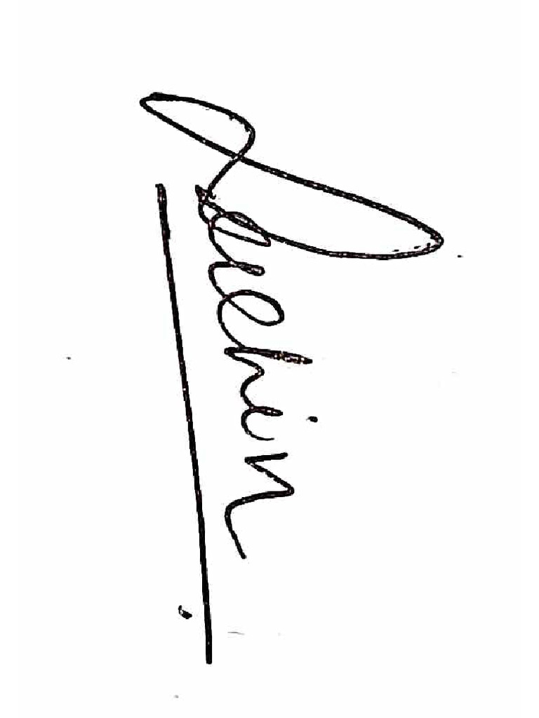 Sign Sachin | PDF