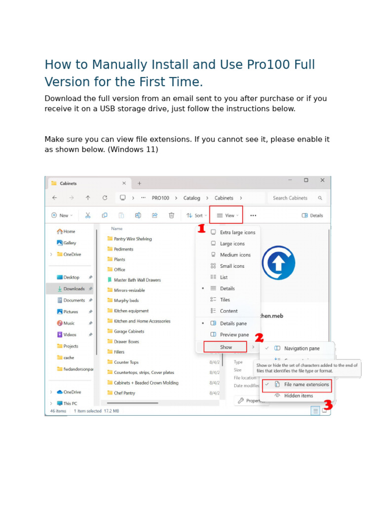 Installing Pro100 Full Version Guide | PDF