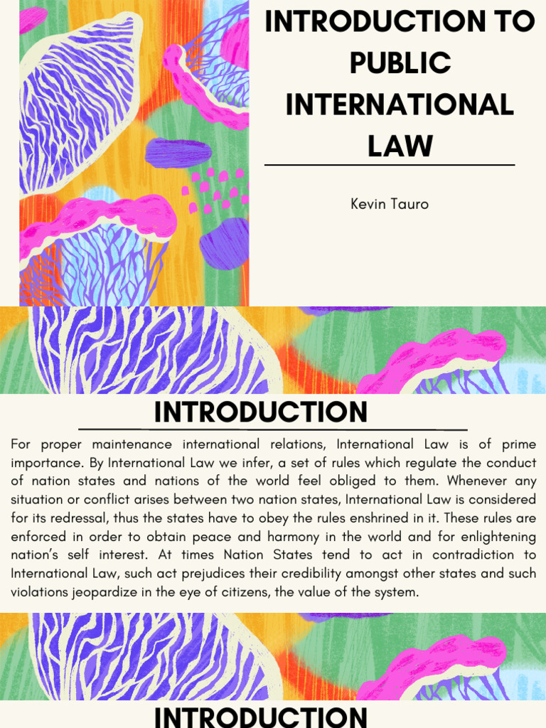 Overview of Public International Law | PDF | International Law ...