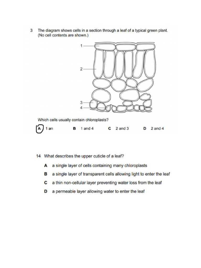 Bio hw-1 | PDF