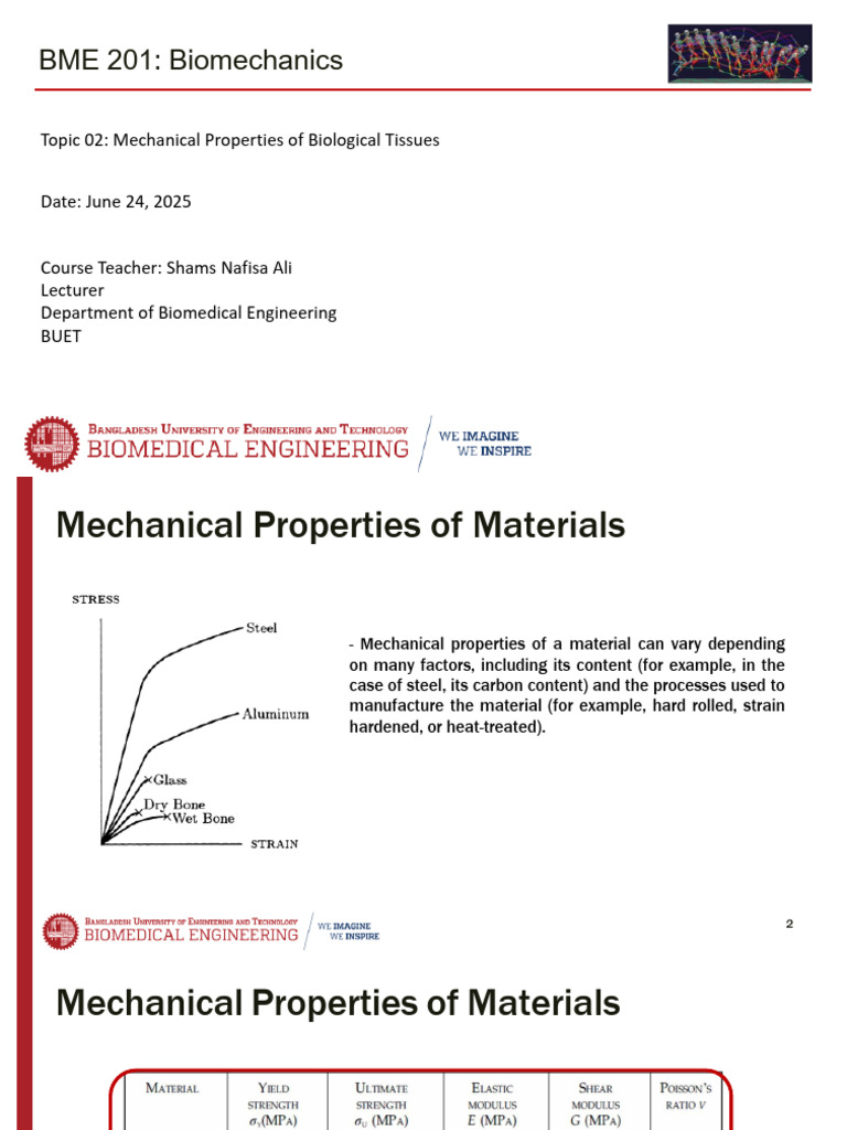 Mechanical Properties of Biological Tissues | PDF | Viscoelasticity ...