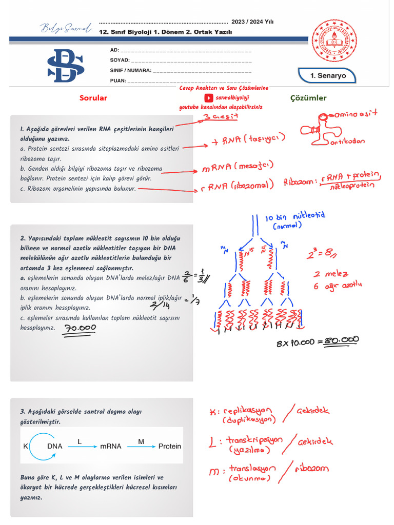 12 Cevap Anahtari | PDF