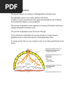Breast Cancer Detection Atlas | PDF | Mammography | Breast