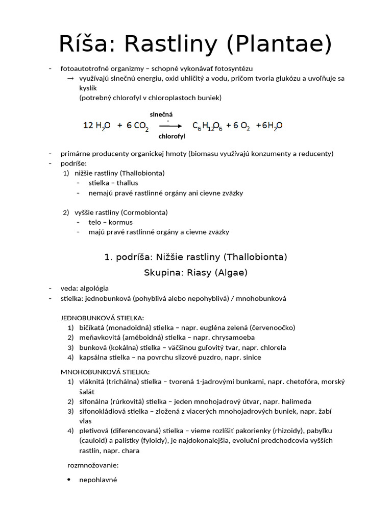 Systém Rastlín | PDF