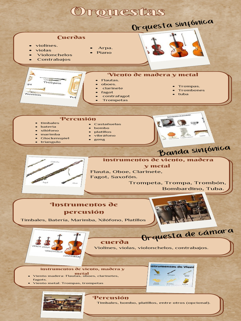 Tipos de Instrumentos en Orquestas | PDF