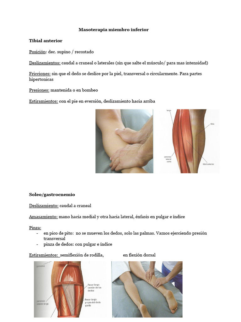 Masoterapia para Miembros Inferiores | PDF