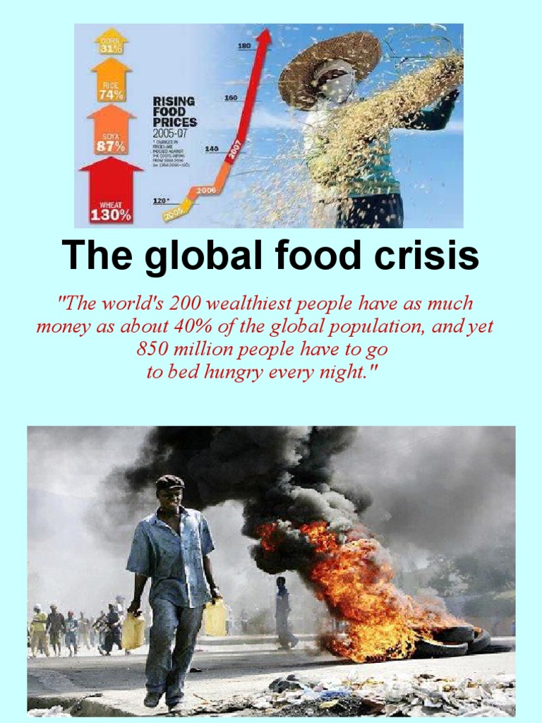Global Food Crisis and Protests 2008 | PDF | 2007–08 World Food Price ...