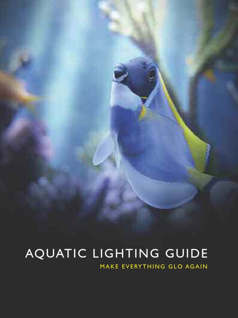 GLO Lighting Guide PDF Lighting Light