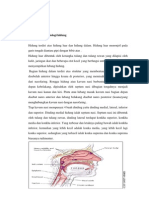 Anatomi Dan Fisiologi Hidung