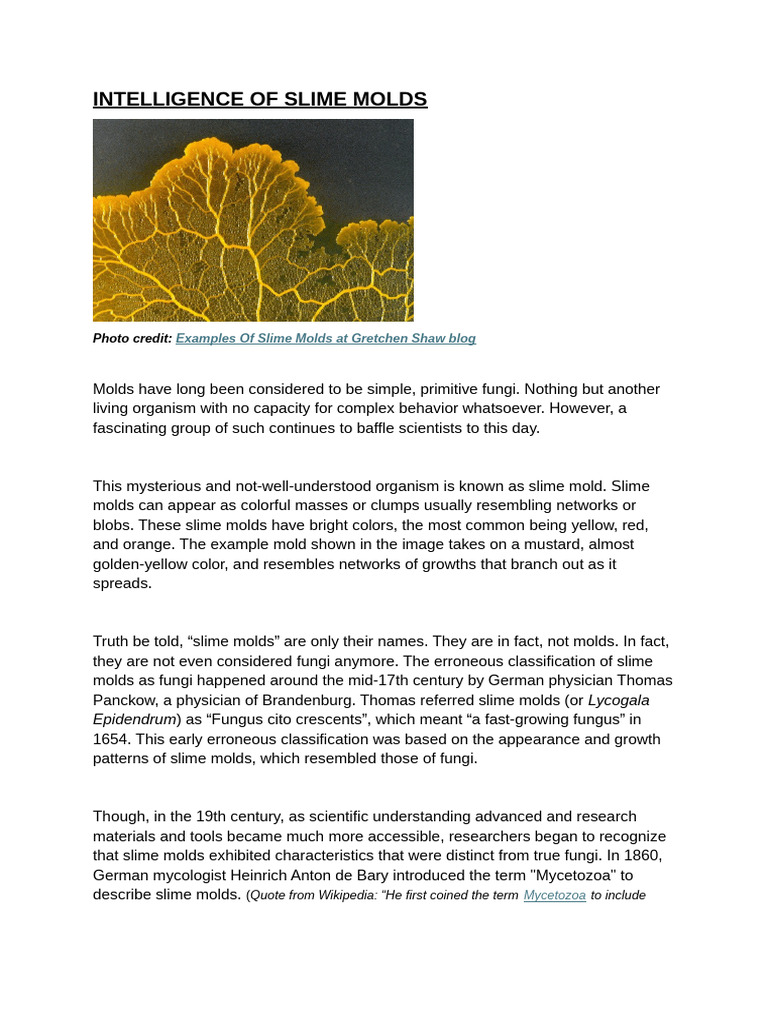 Intelligence of Slime Molds | PDF