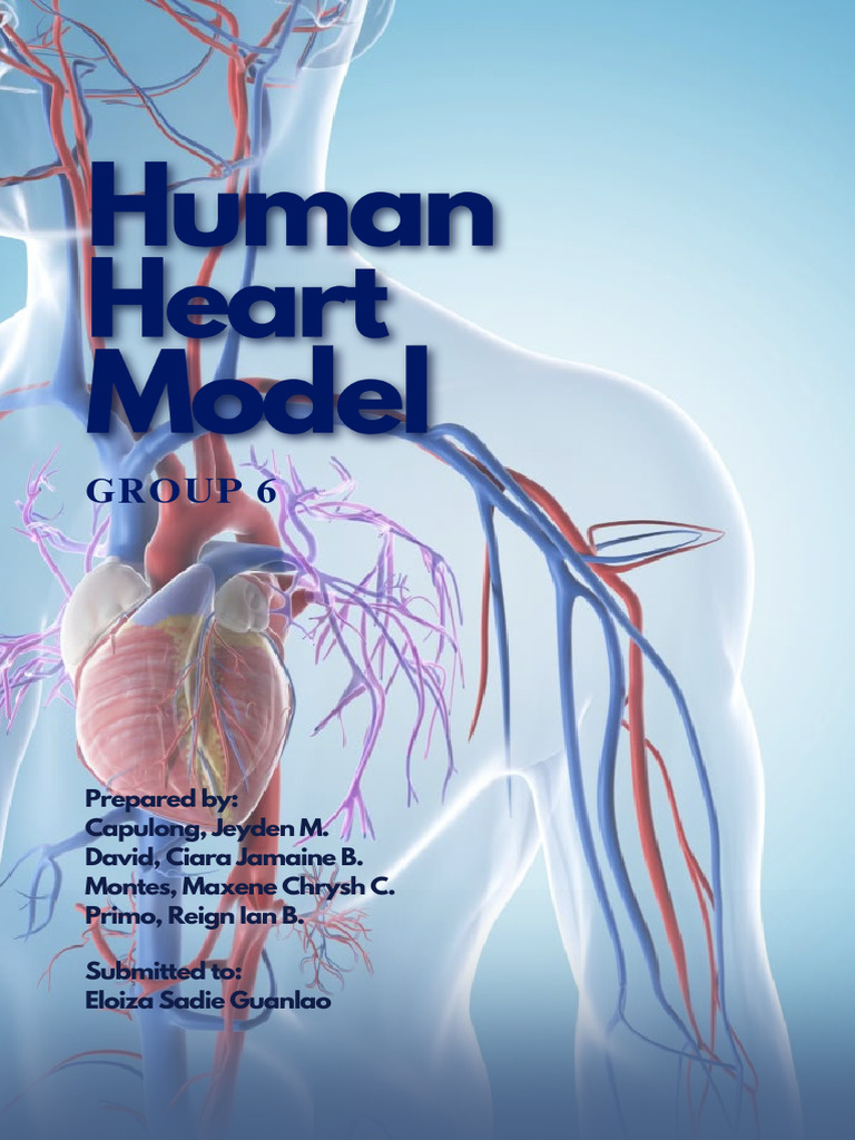 Human Heart Anatomy and Disorders Guide | PDF | Heart Valve | Heart
