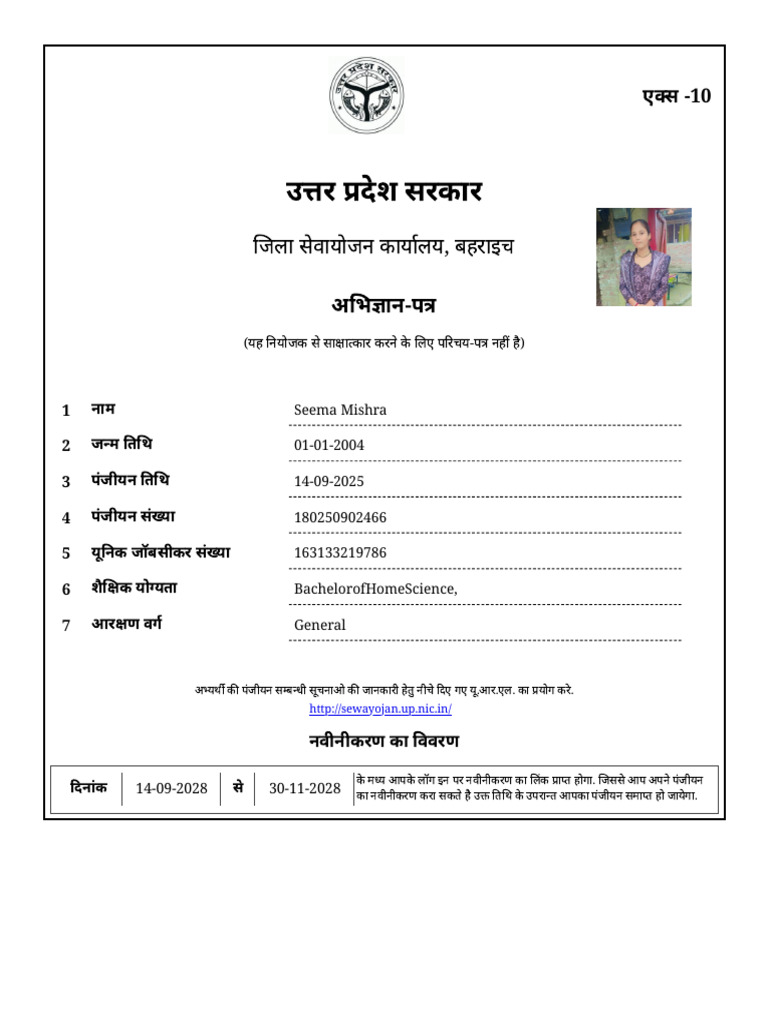 Seema X10 Report | PDF