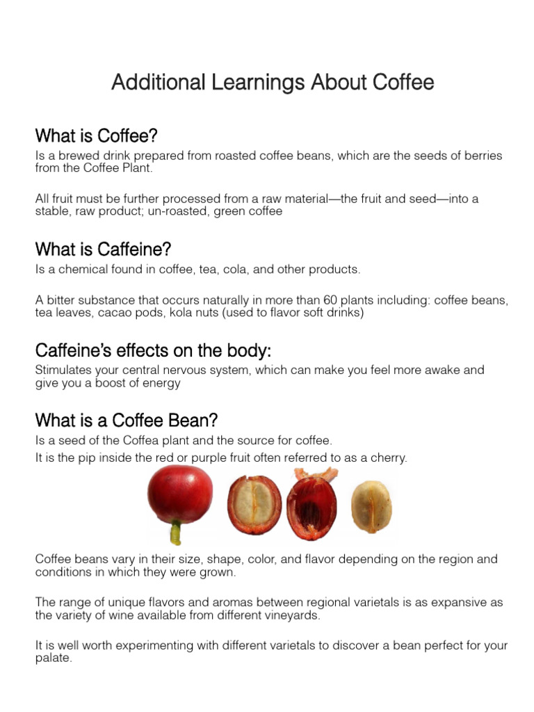 Coffee: From Bean to Brew Explained | PDF | Coffee | Drink