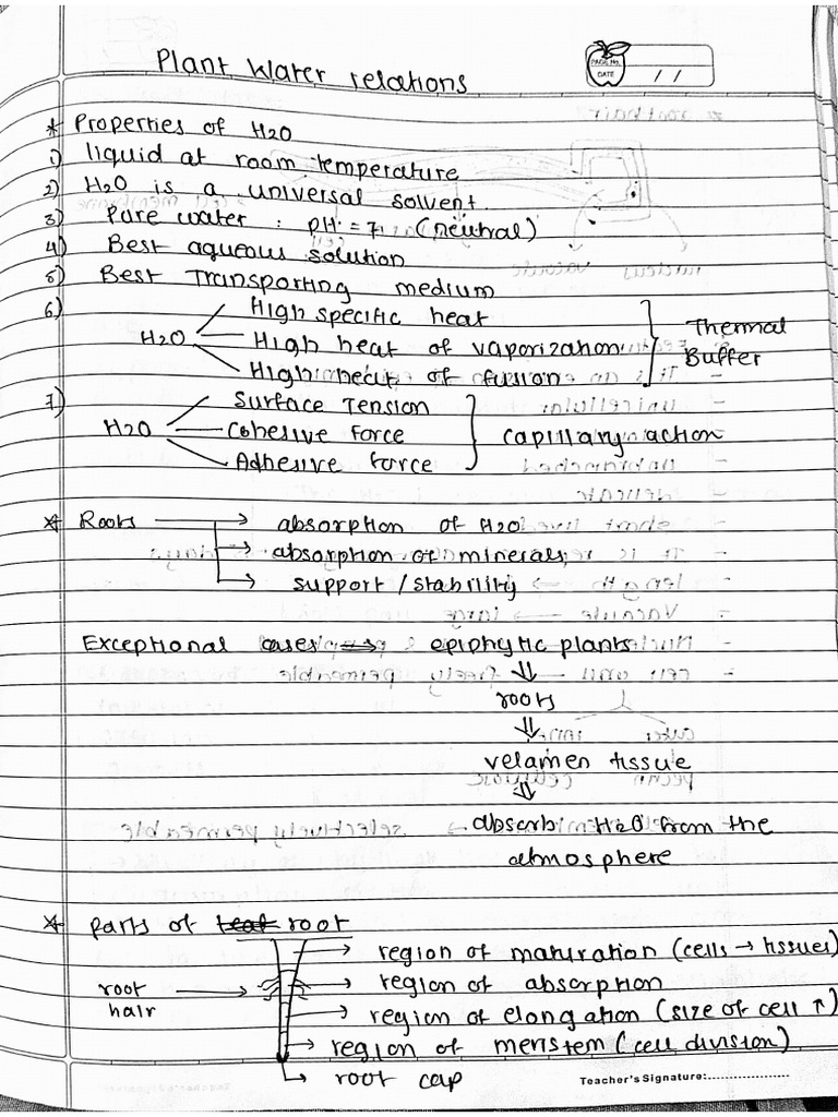 Plant Water Relations Notes | PDF