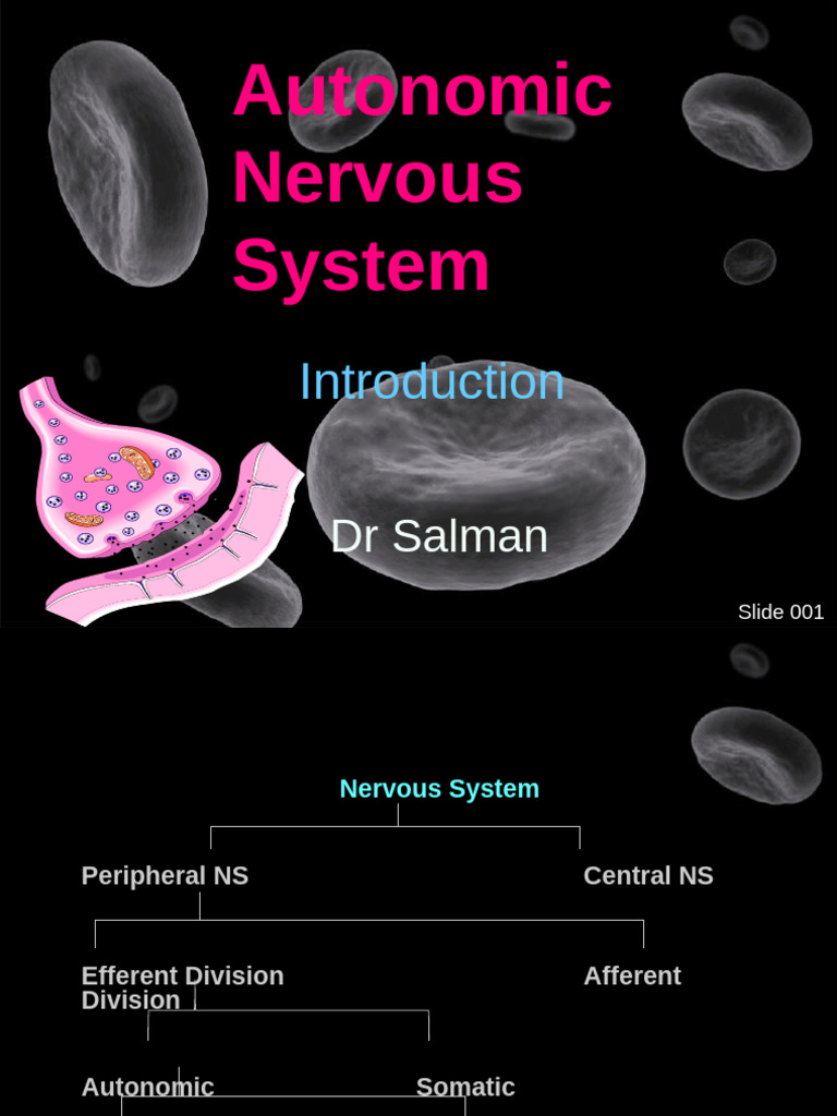 Autonomic Nervous System Overview | PDF | Acetylcholine | Autonomic ...